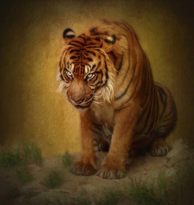 Tiled Image