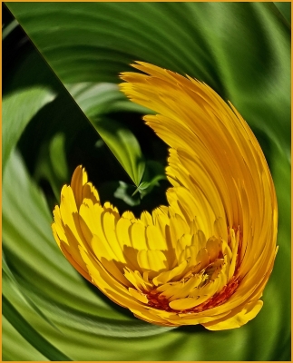 Tiled Image