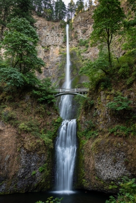 Tiled Image