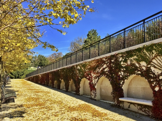 Tiled Image