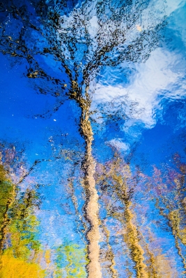 Tiled Image