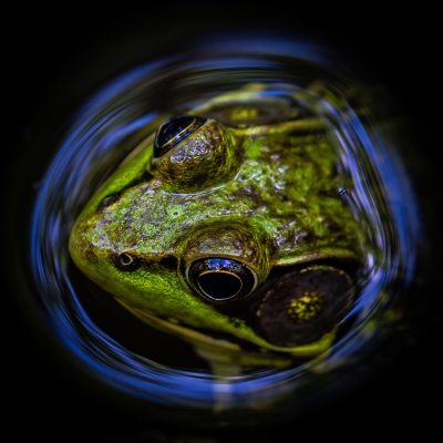 Tiled Image