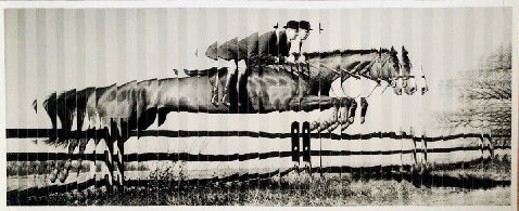 Tiled Image
