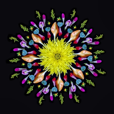 Tiled Image