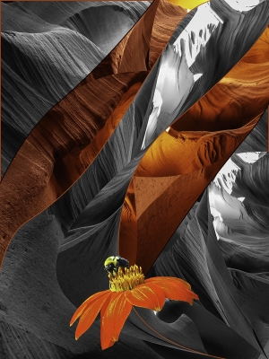 Tiled Image