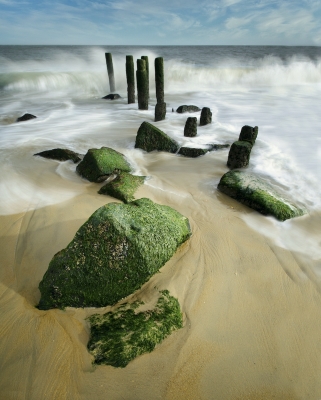 Tiled Image
