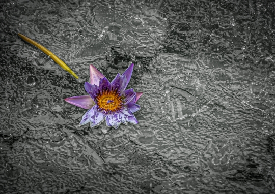 Tiled Image