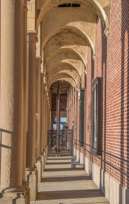 Tiled Image