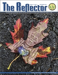 Reflector Cover