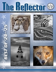 Reflector Cover