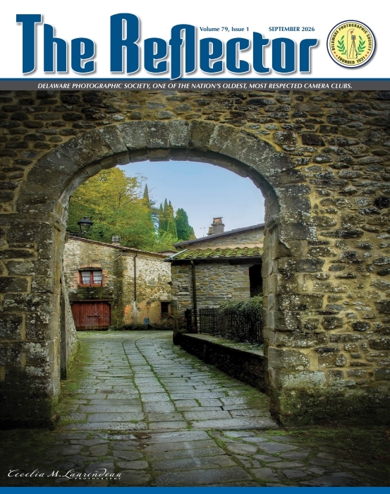 Reflector Cover